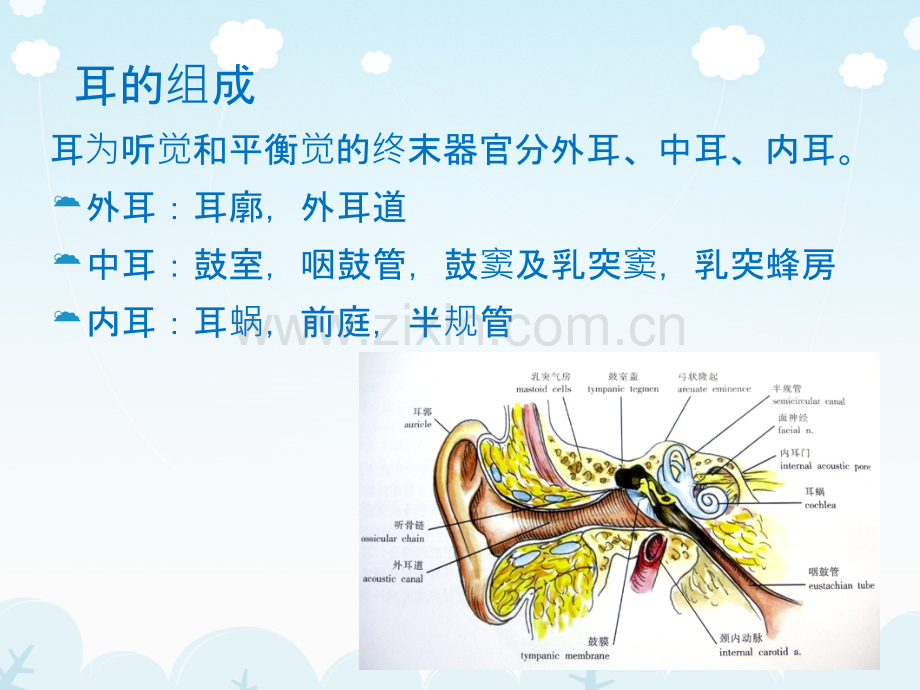 医学影像-耳影像解剖及常见疾病诊断.ppt_第3页