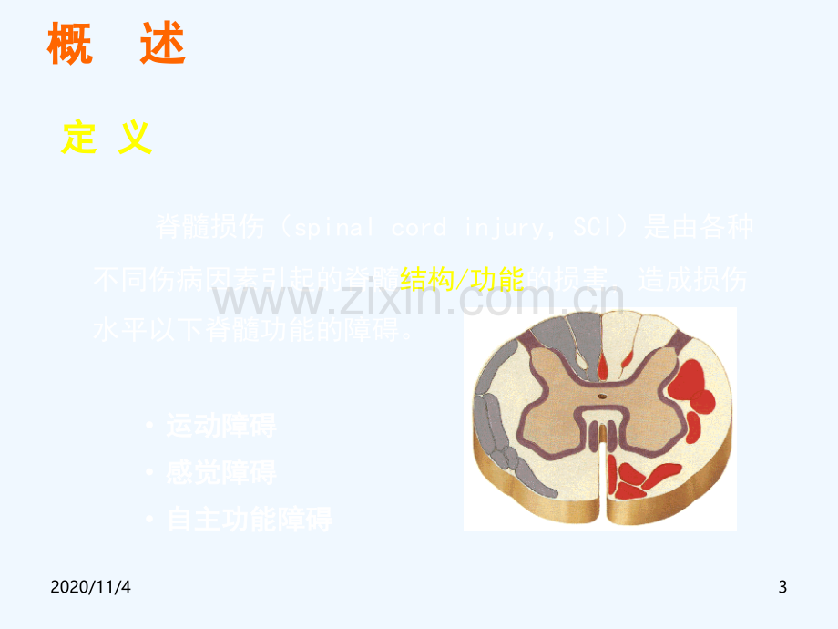 定陶脊髓损伤的康复.ppt_第3页