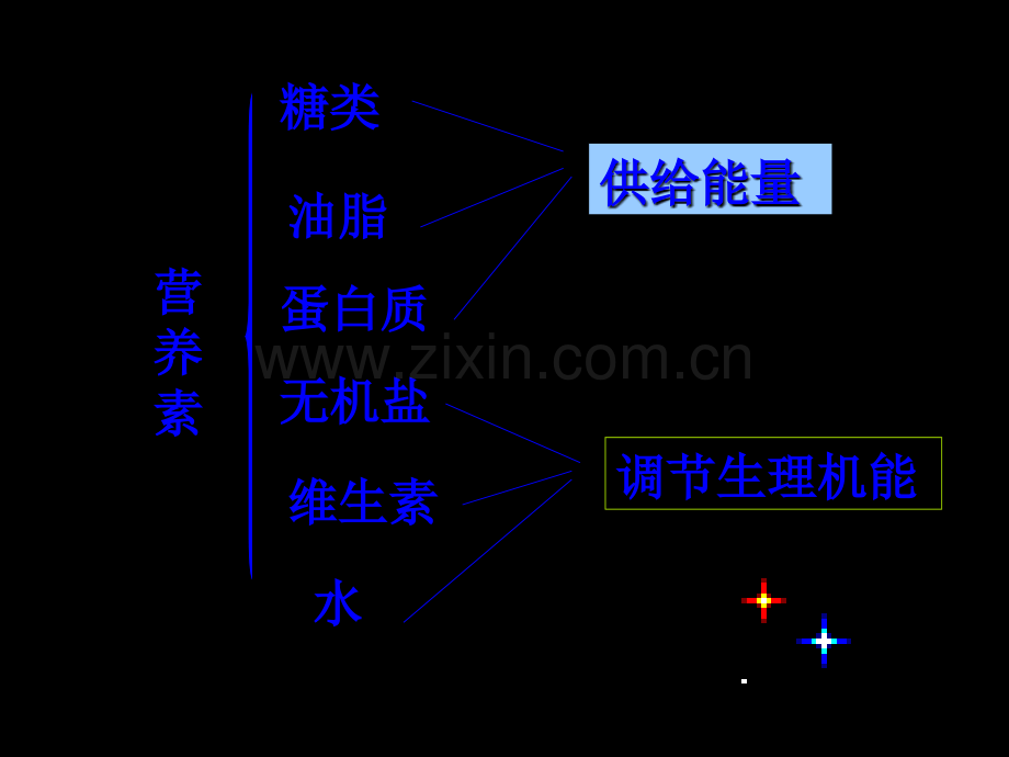 提供能量与营养的食物.ppt_第2页