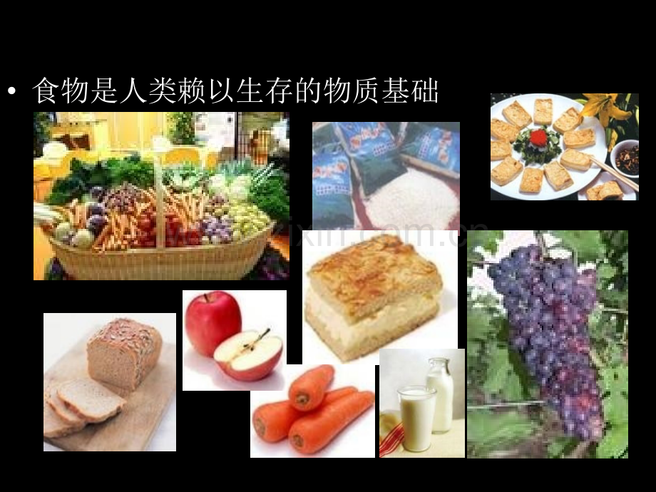 提供能量与营养的食物.ppt_第3页