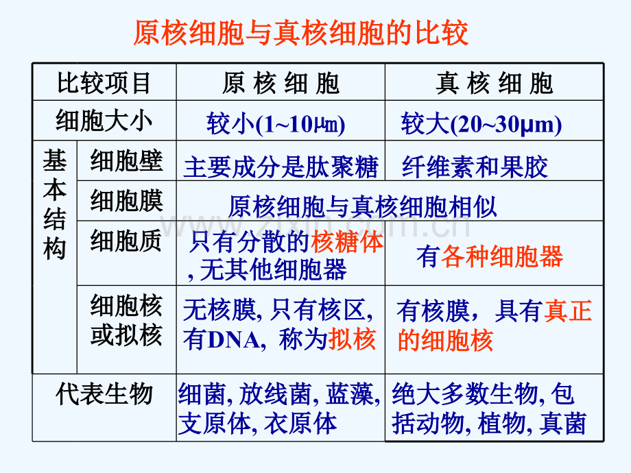 必修一生物复习课件全册.pptx_第3页