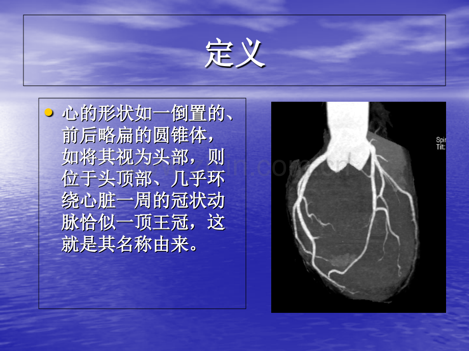 冠状动脉的正常生理与解剖PPT培训课件.ppt_第2页