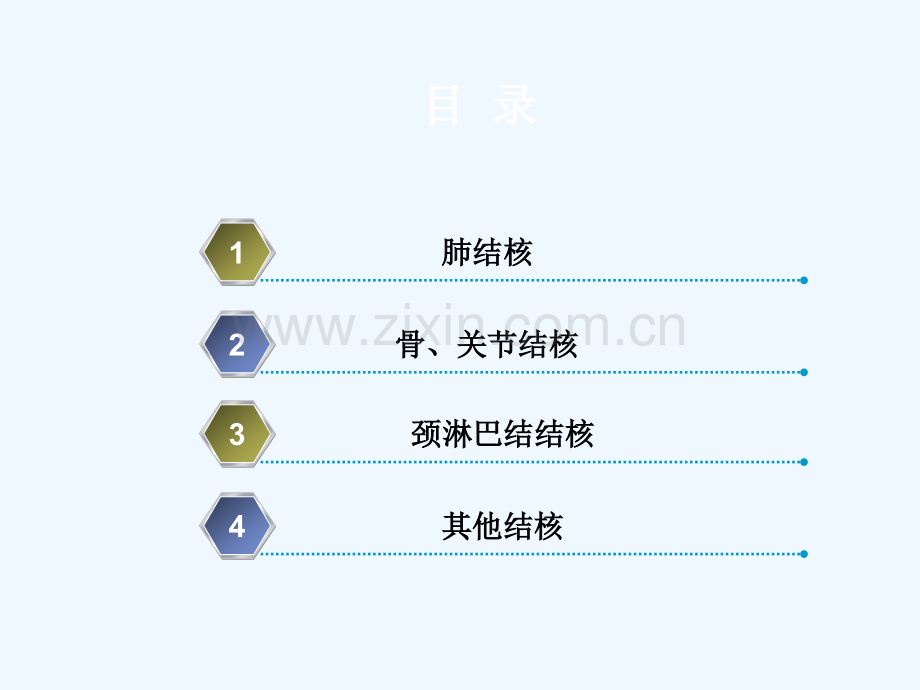 结核病的外科治疗.pptx_第2页