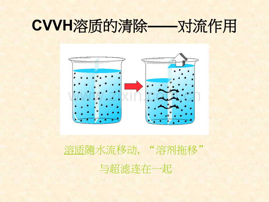 PPT医学课件CVVH治疗剂量的计算讲义.ppt_第1页