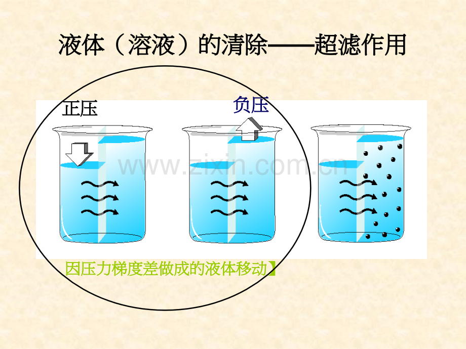 PPT医学课件CVVH治疗剂量的计算讲义.ppt_第2页