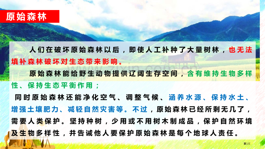 祖先的摇篮优质优质课件省公开课一等奖新名师优质课比赛一等奖课件.pptx_第3页