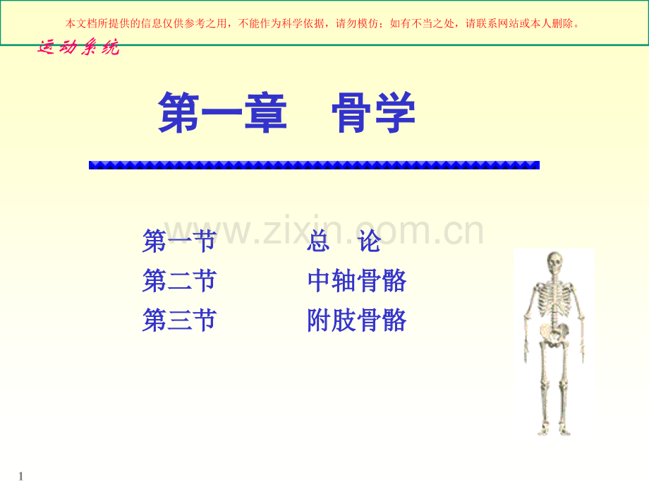 人体骨骼解剖学培训课件.ppt_第1页