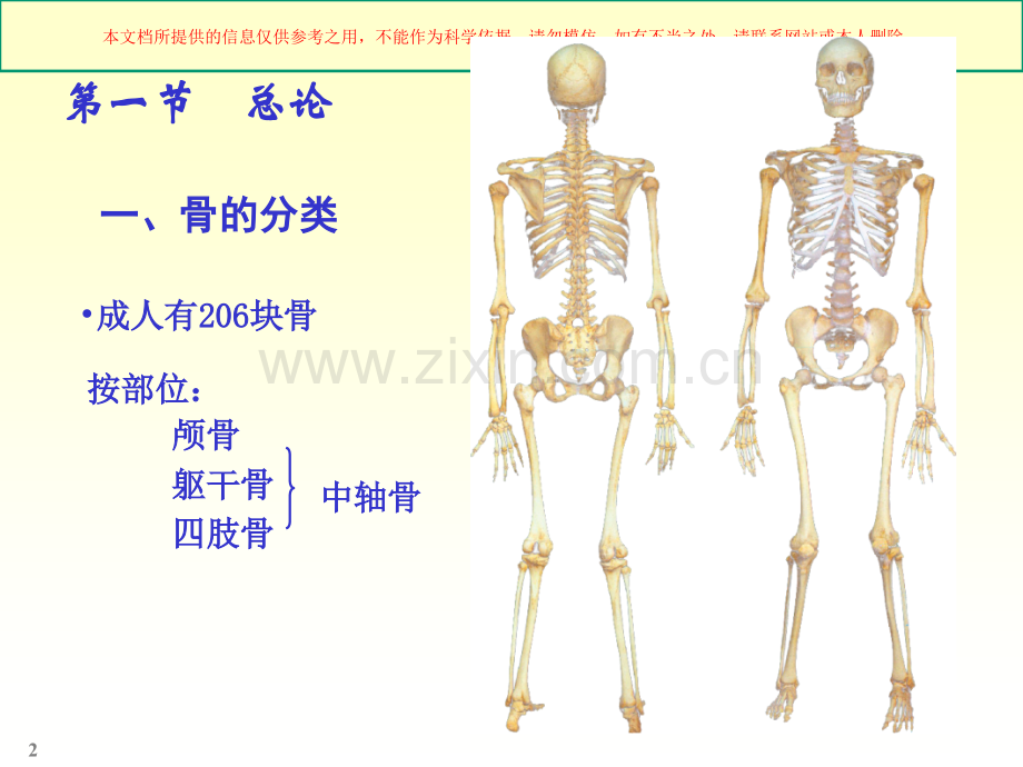 人体骨骼解剖学培训课件.ppt_第2页