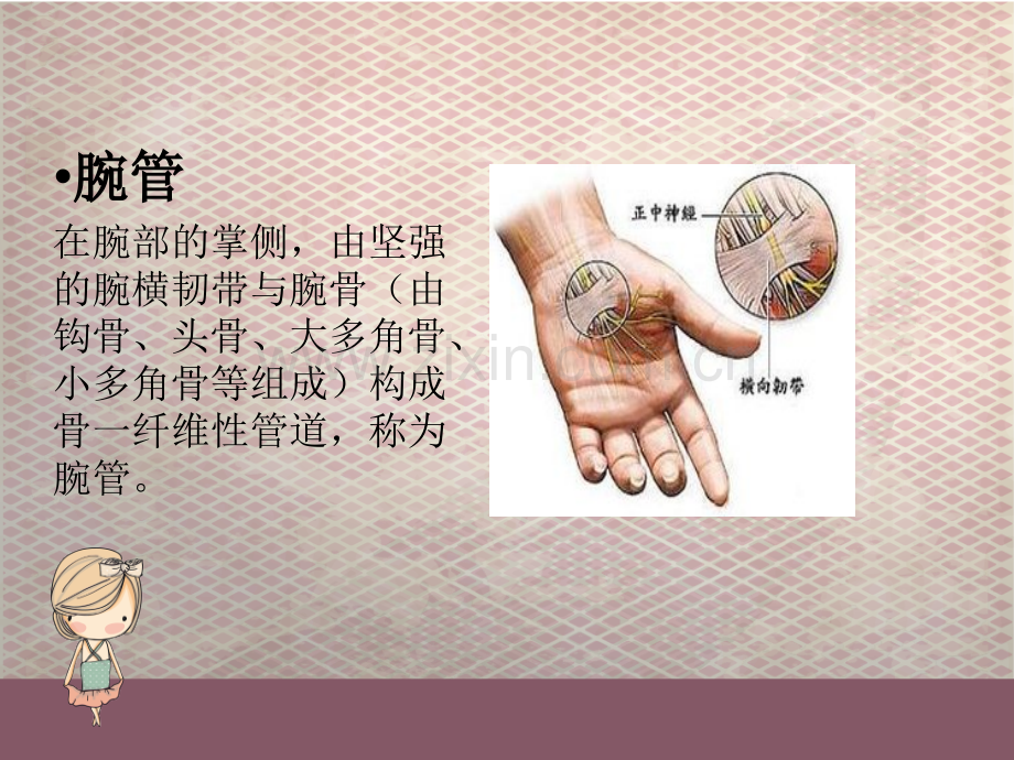 PPT医学课件腕管综合征专业知识宣讲讲义.ppt_第1页