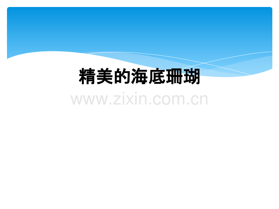 精美的海底珊瑚.ppt_第1页