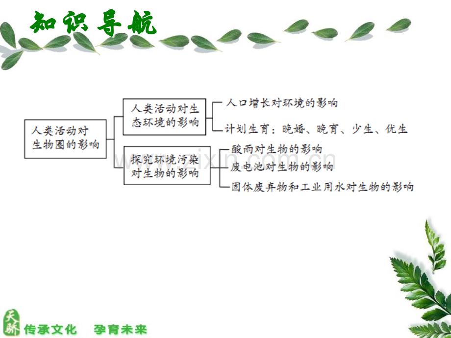 中考宝典中考生物会考课件第八单元-人体生命活动调节及人类活动影响.ppt_第3页