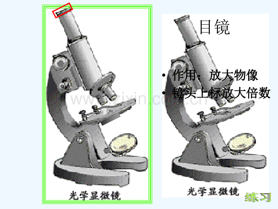 显微镜结构功能.ppt_第2页