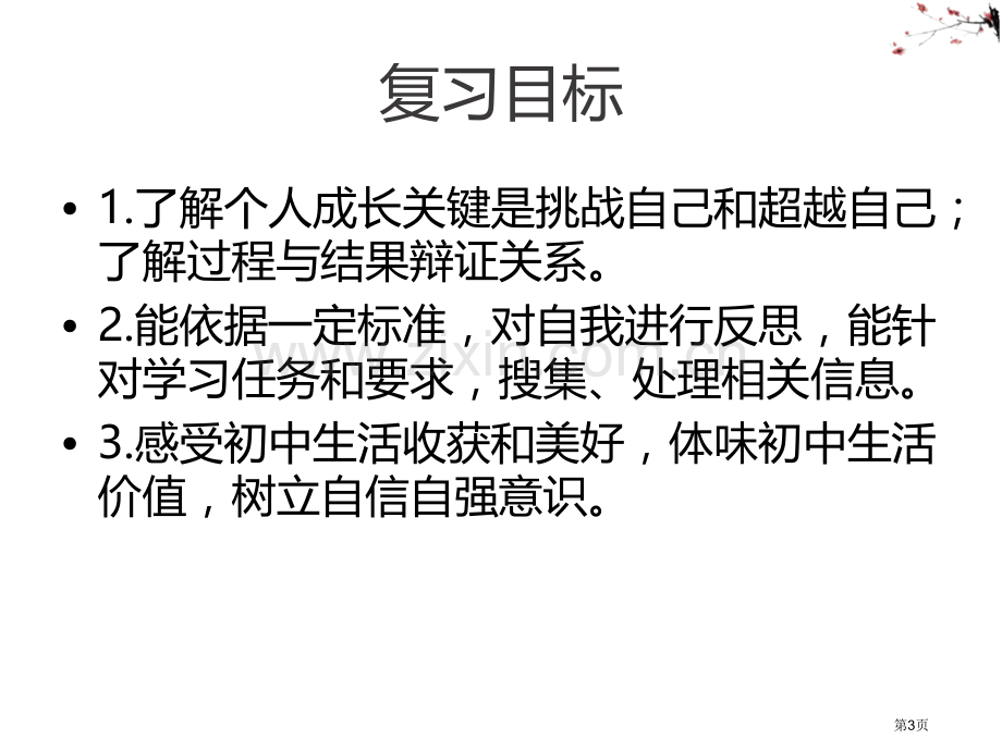 回望成长课件省公开课一等奖新名师优质课比赛一等奖课件.pptx_第3页