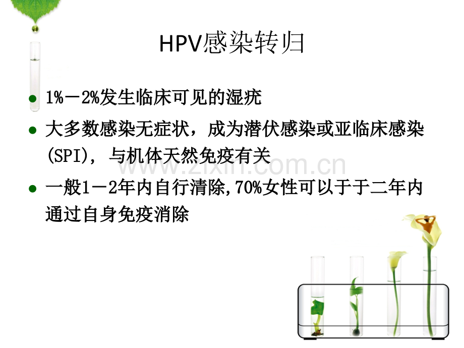 HPV感染与宫颈癌的宣传资料.ppt_第2页