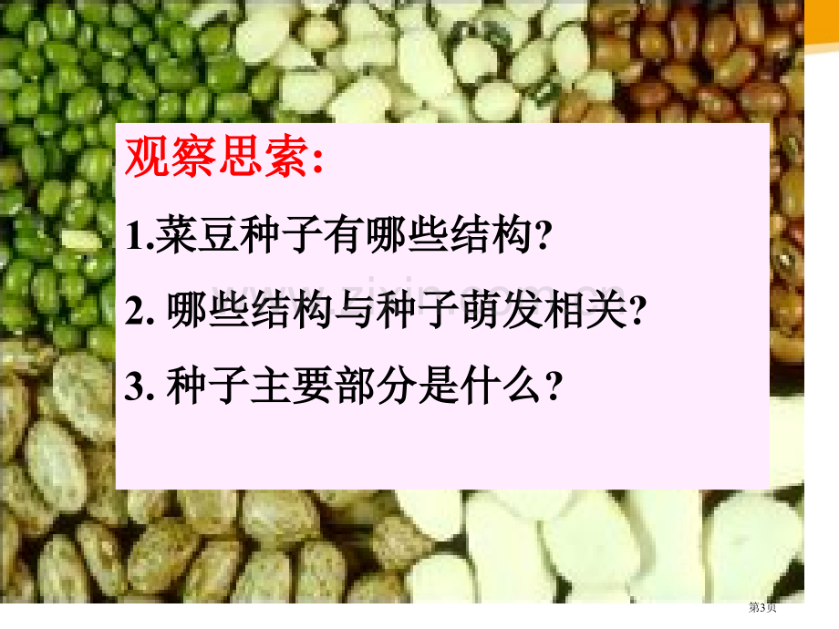 植物种子的萌发课件省公开课一等奖新名师优质课比赛一等奖课件.pptx_第3页