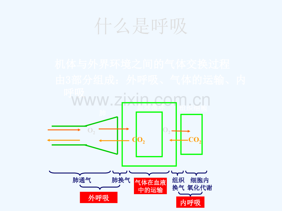 儿童呼吸衰竭与血气分.ppt_第2页