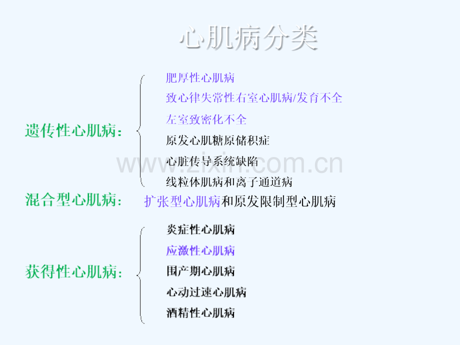 扩张型心肌病许褚.ppt_第3页