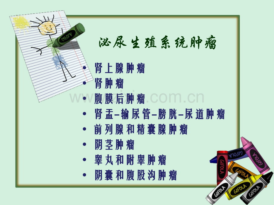 泌尿生殖系统肿瘤诊断和治疗.ppt_第2页