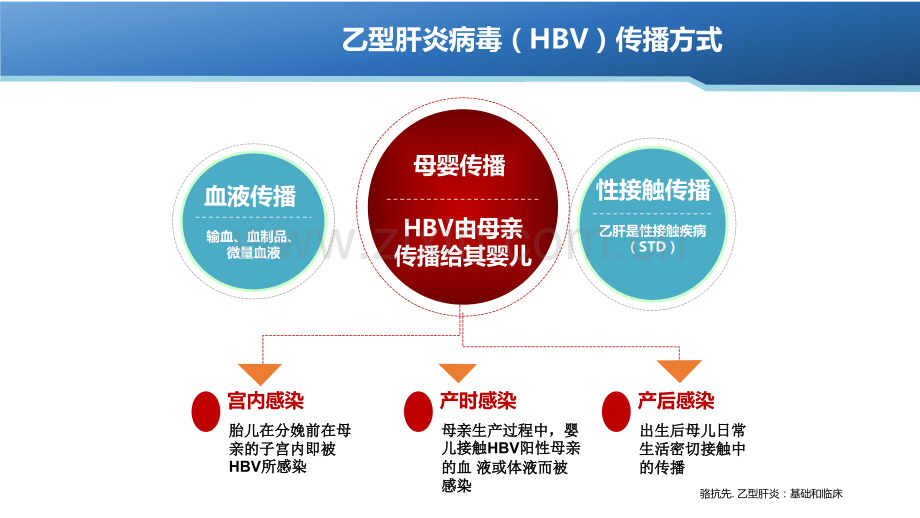 乙肝感染孕妇管理和抗病毒治疗策略ppt培训课件.ppt_第3页