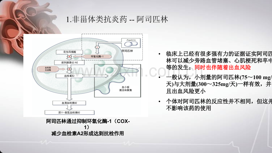 ESC冠心病患者双抗治疗指南简读PPT培训课件.ppt_第3页