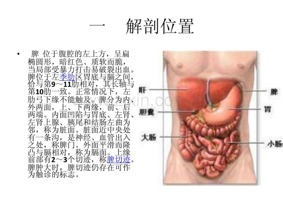 脾切除术病人的护理.ppt_第3页