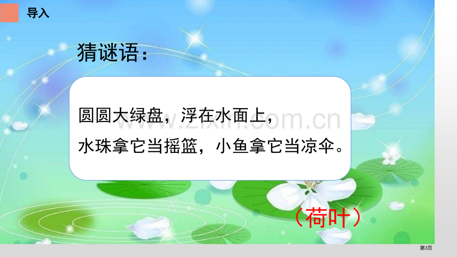 荷叶圆圆优质课件说课稿省公开课一等奖新名师优质课比赛一等奖课件.pptx_第3页