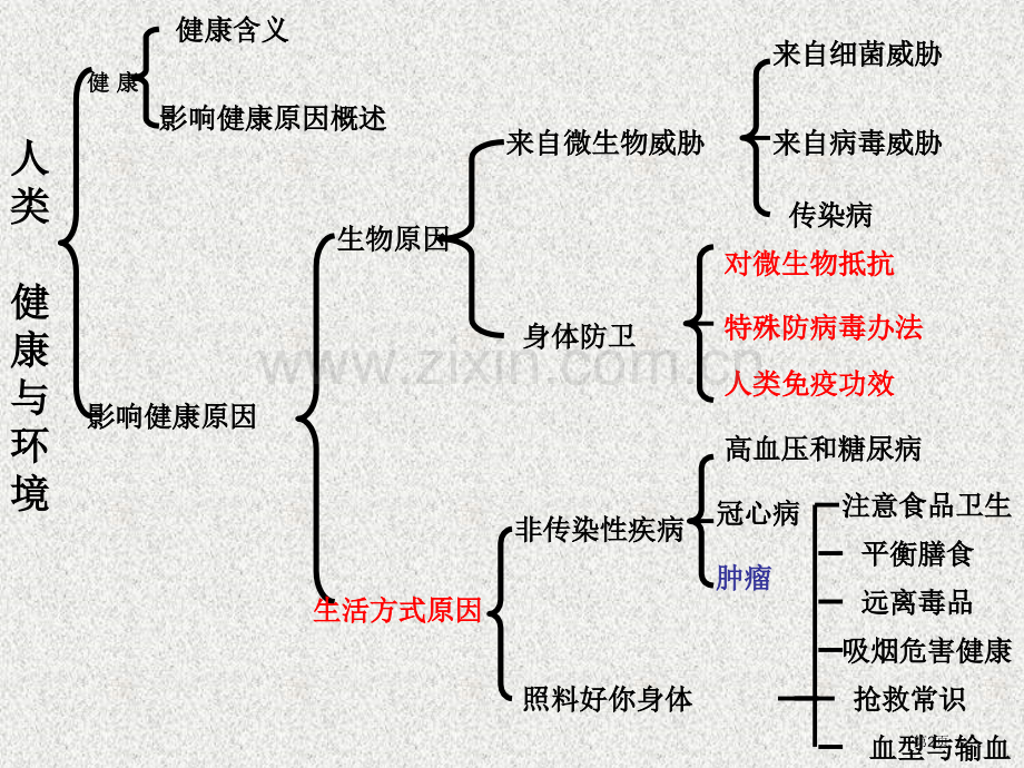 年级下复习课市公开课一等奖百校联赛特等奖课件.pptx_第2页