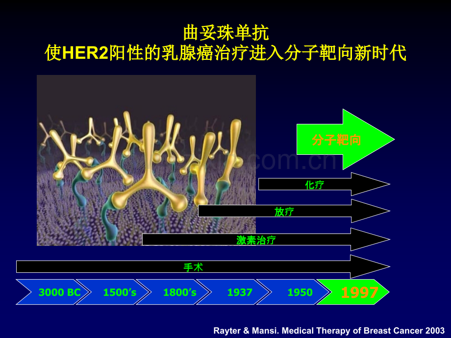 HER阳性乳腺癌诊疗专家共识.ppt_第2页