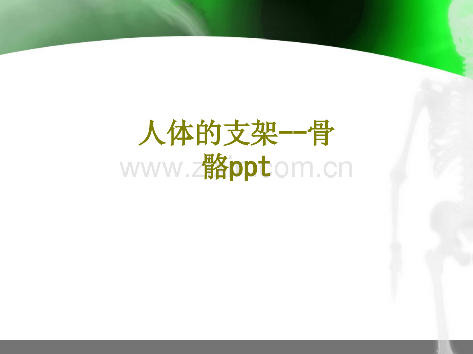 人体的支架骨骼课件.ppt_第1页