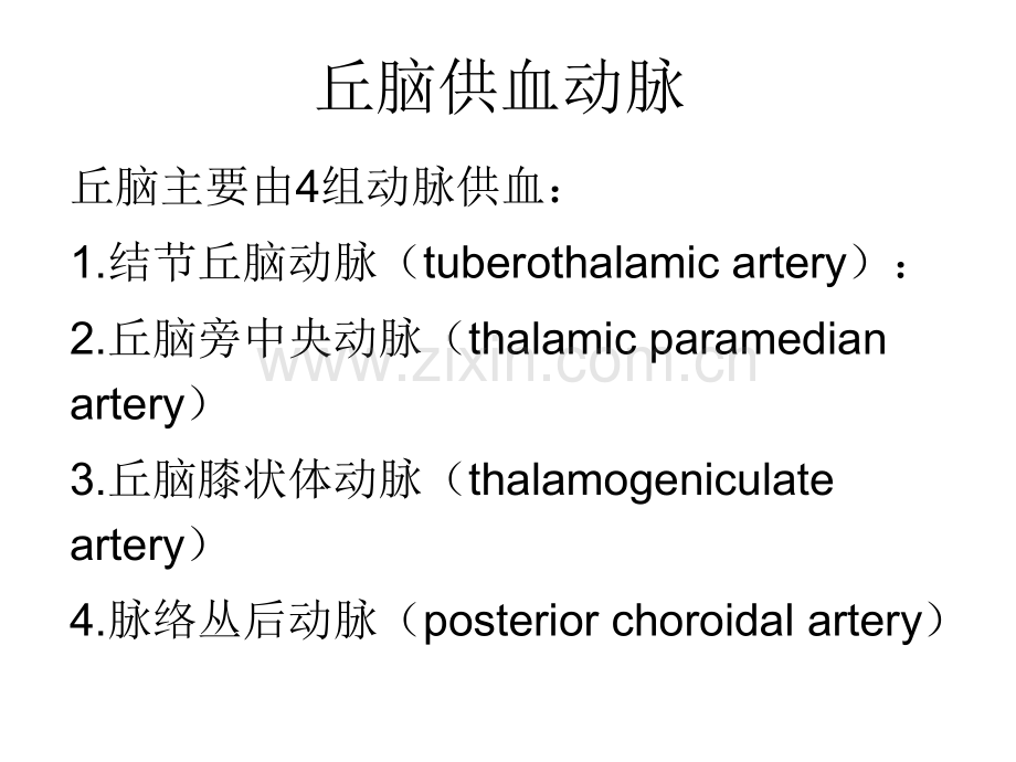 丘脑供血动脉和丘脑梗死讲义.ppt_第2页