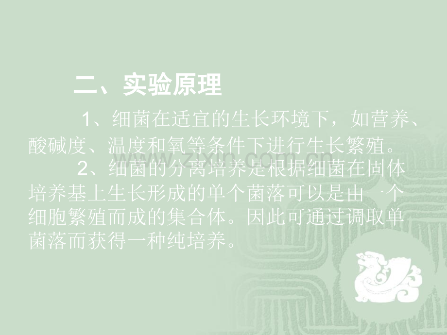 动物微生物细菌人工培养.ppt_第3页