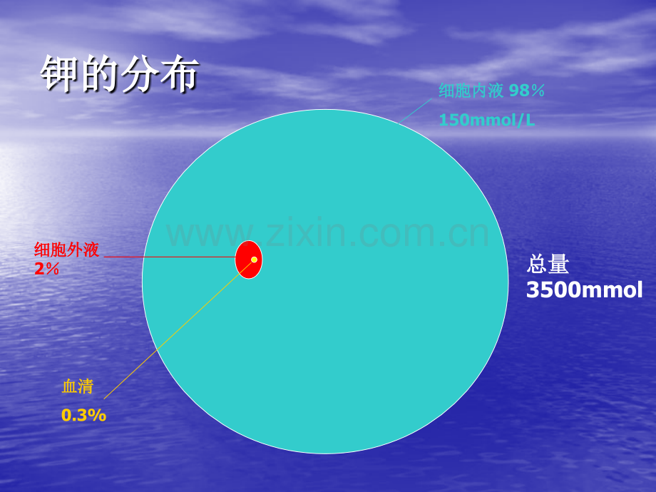 低钾血症的鉴别诊疗ppt培训课件.ppt_第2页