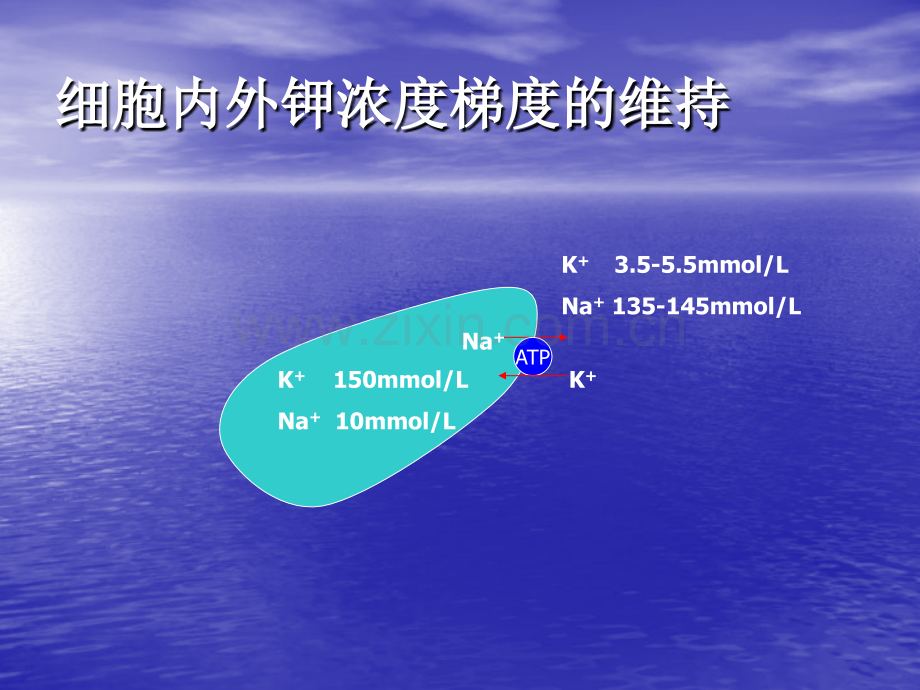 低钾血症的鉴别诊疗ppt培训课件.ppt_第3页