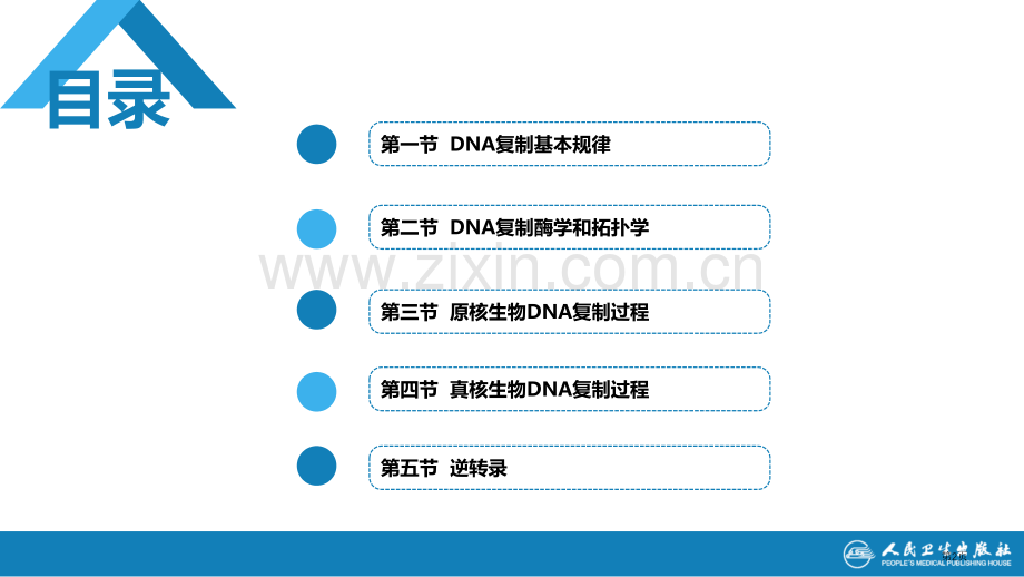 生物化学和分子生物学DNA合成省公共课一等奖全国赛课获奖课件.pptx_第2页