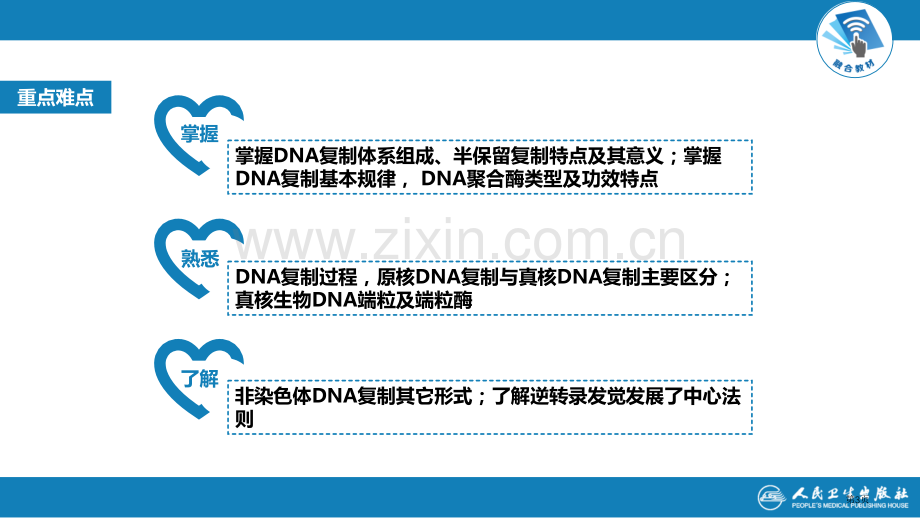 生物化学和分子生物学DNA合成省公共课一等奖全国赛课获奖课件.pptx_第3页