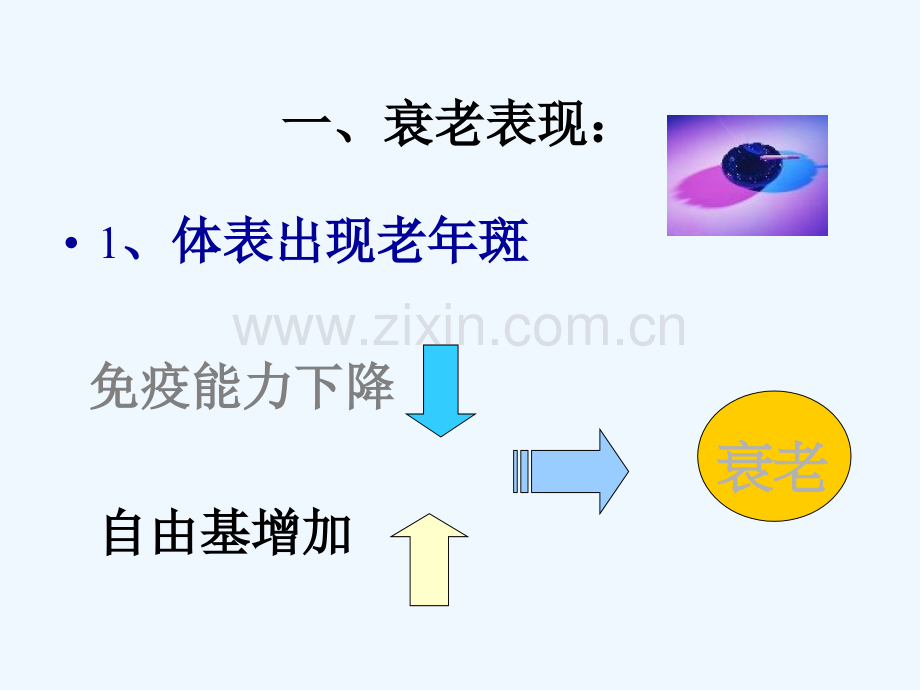 老年营养知识讲座.pptx_第3页