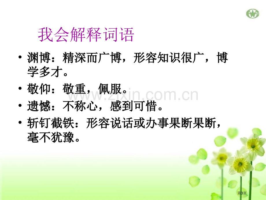 回自己的祖国去省公开课一等奖新名师优质课比赛一等奖课件.pptx_第3页