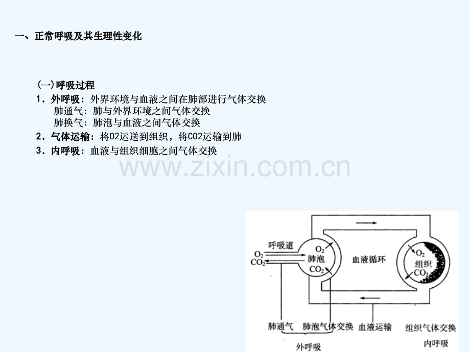 呼吸的观察与护理.ppt_第3页