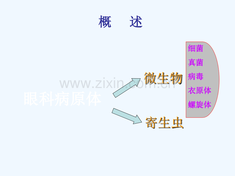 眼科相关病原体概述.ppt_第3页