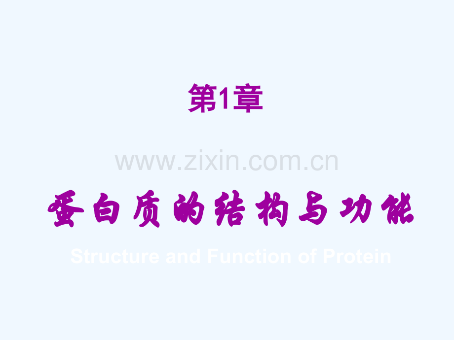 医学生物化学课件.ppt_第2页