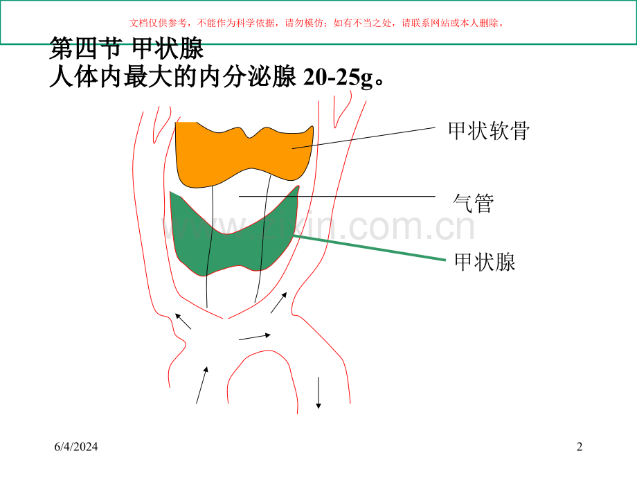 内分泌专题知识课件.ppt_第2页