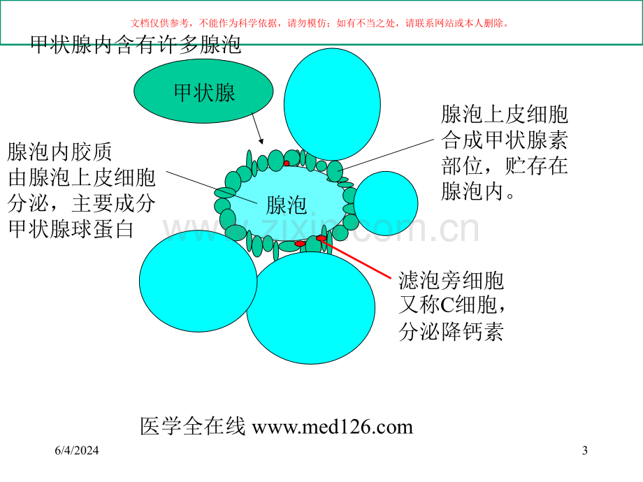 内分泌专题知识课件.ppt_第3页