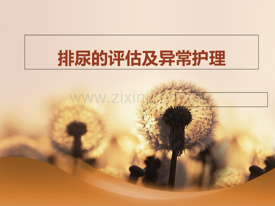 排尿评估及异常护理.ppt_第2页