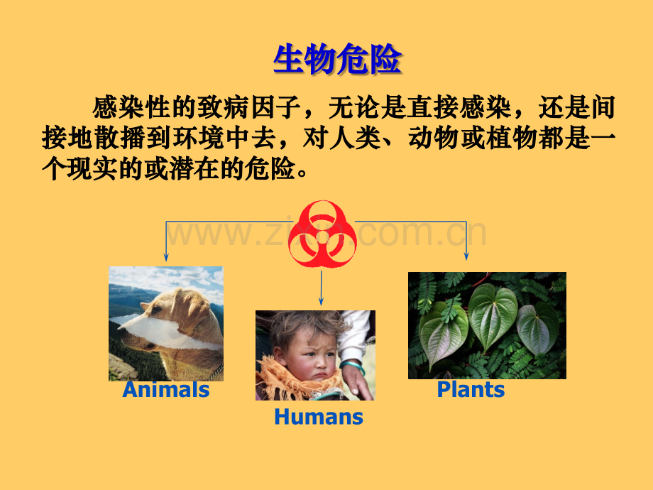 HIV实验室生物安全培训-医学课件.ppt_第1页