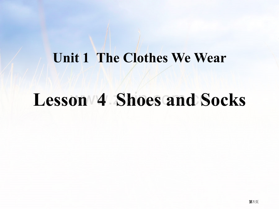 Shoes-and-SocksThe-Clothes-We-Wear说课稿.pptx_第1页