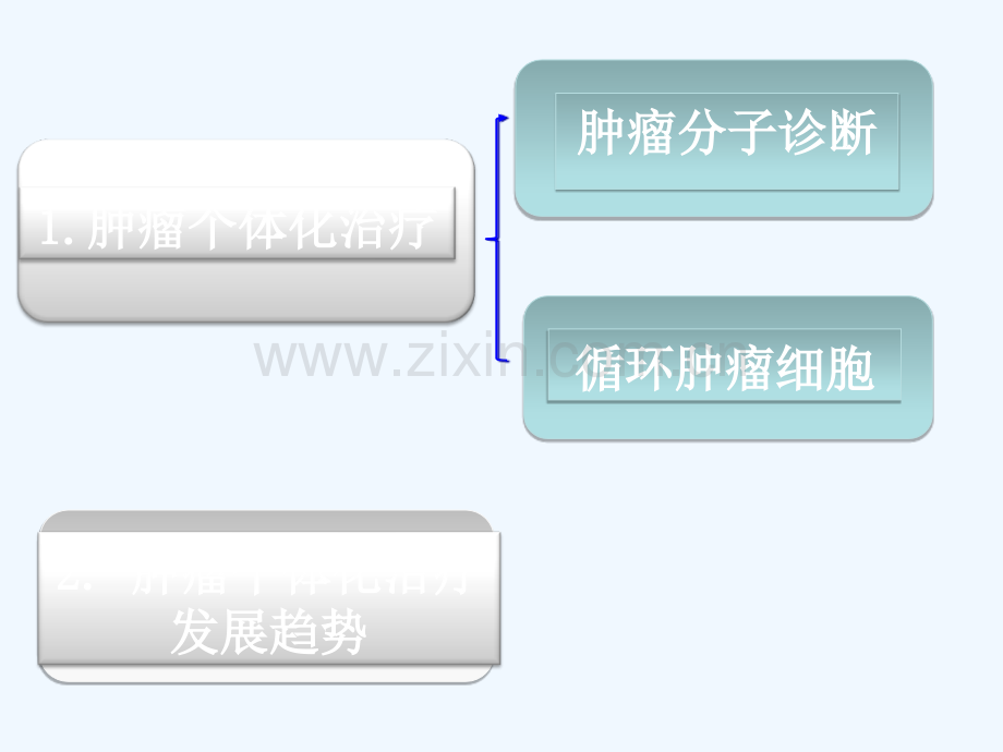 肿瘤精准靶向治疗.ppt_第2页