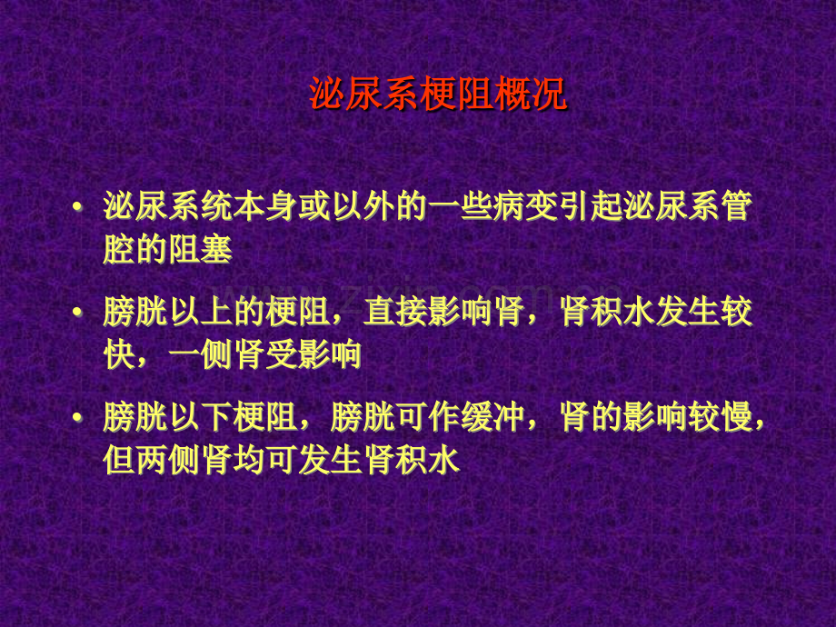 泌尿系梗阻-教学课件.ppt_第2页