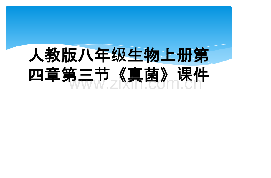 人教版八年级生物上册第四章第三节《真菌》课件.ppt_第1页