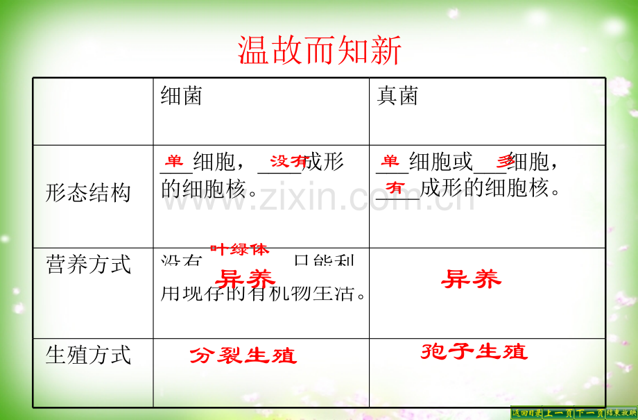 人教版八年级生物上册第四章第三节《真菌》课件.ppt_第2页