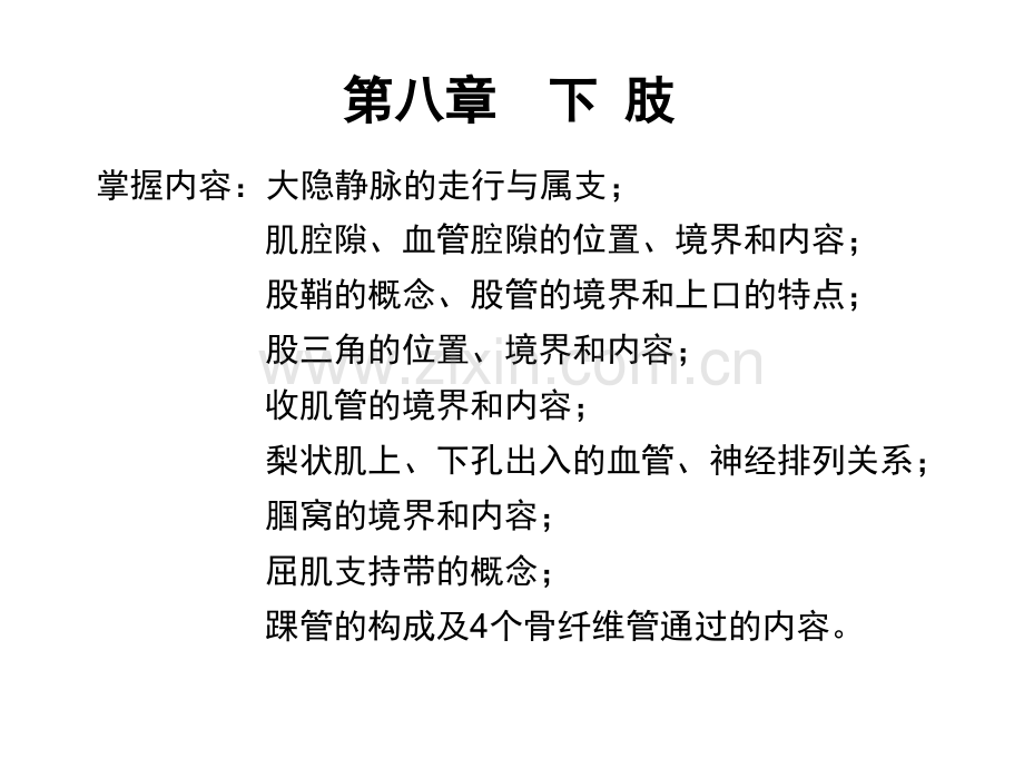 医学下肢局部解剖学PPT培训课件.ppt_第2页